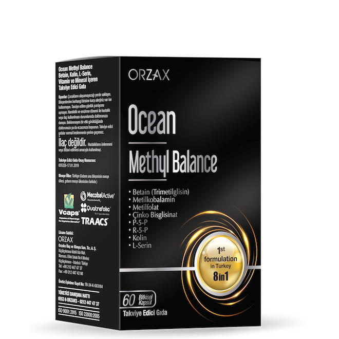 Ocean methyl balance 60