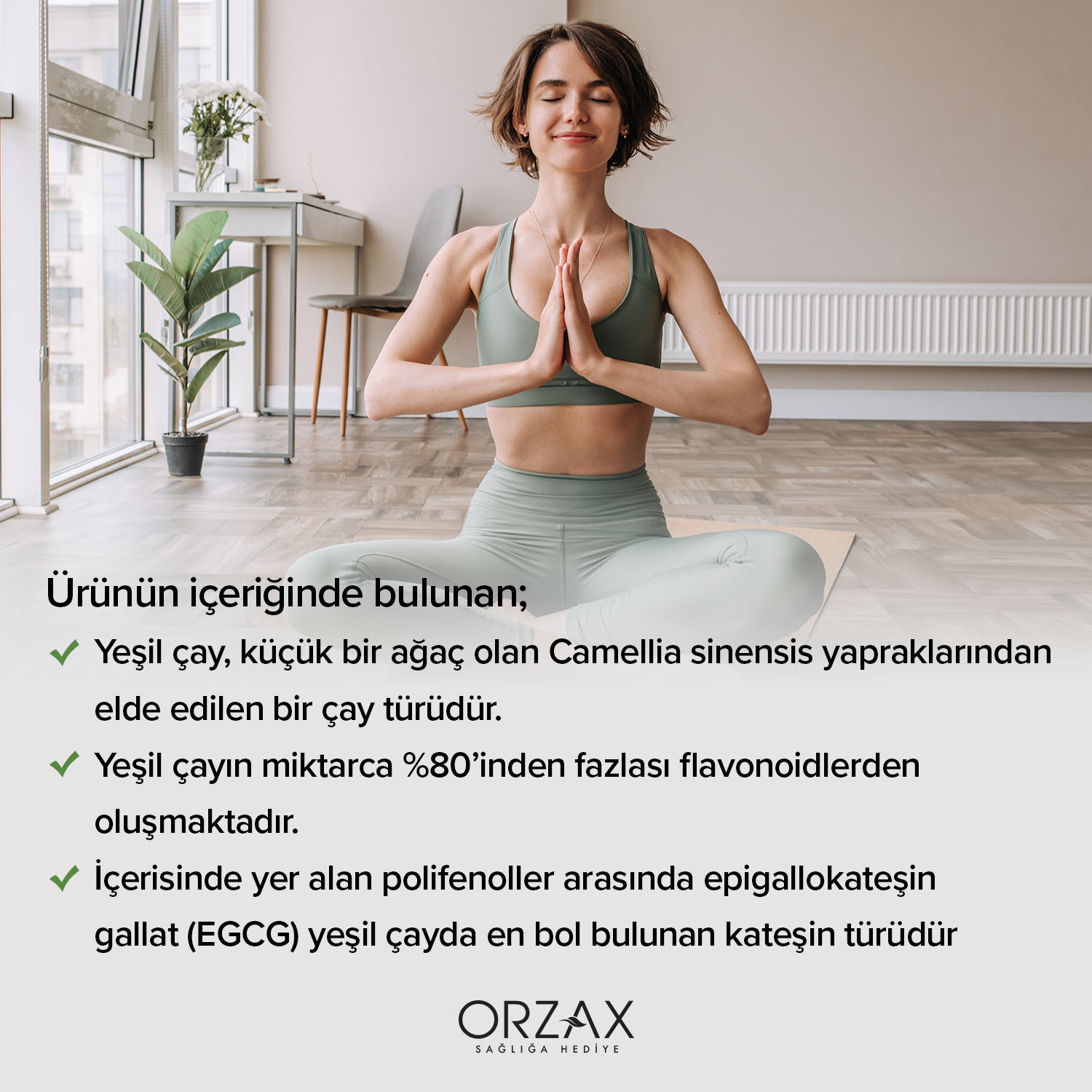 Ocean Yeşil Çay Kapsül - Orzax