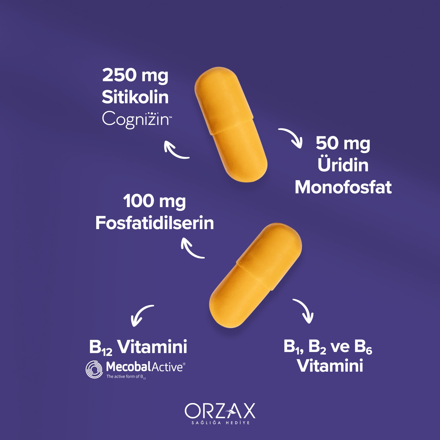 Ocean Cogniven Capsules - Orzax