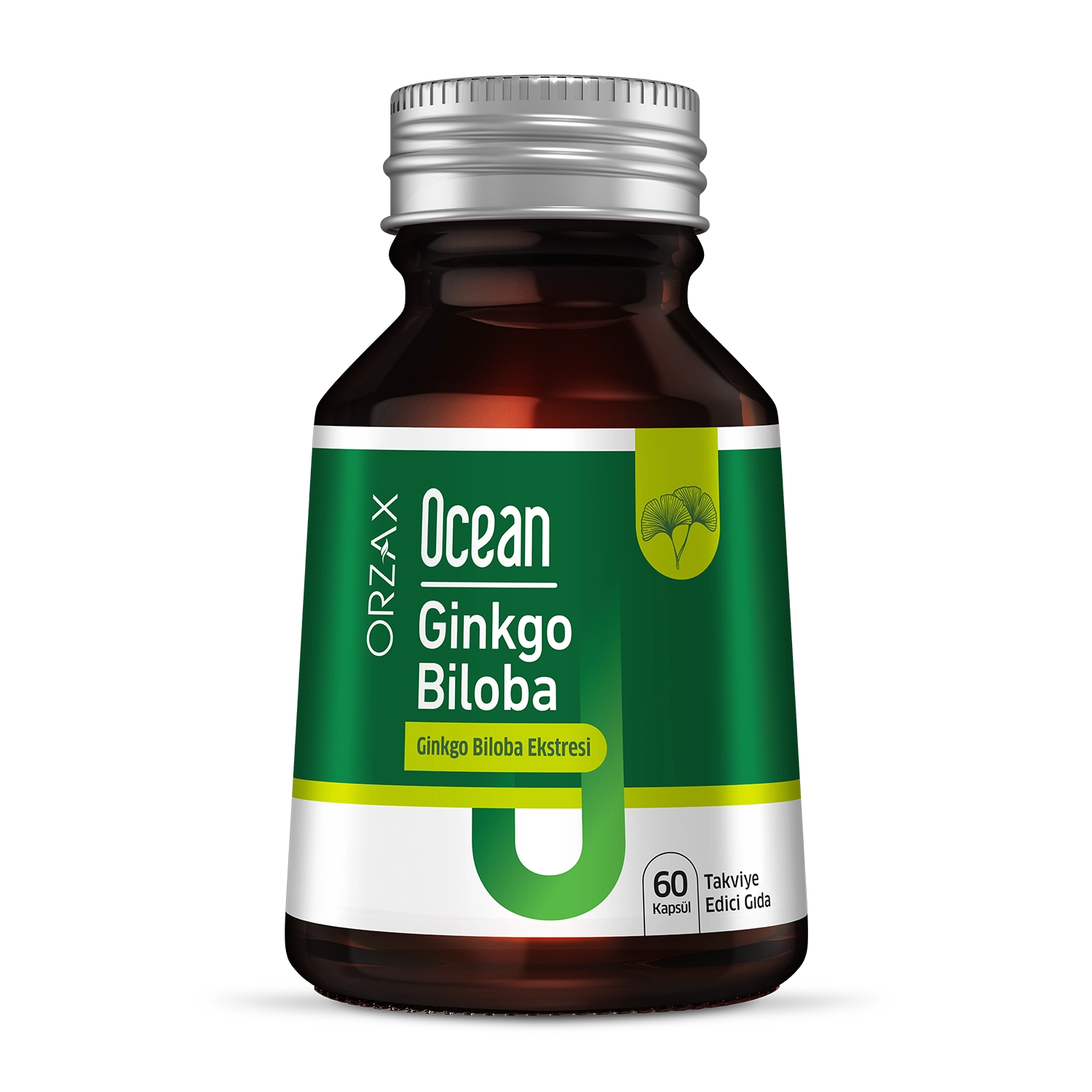 ginkgo biloba
