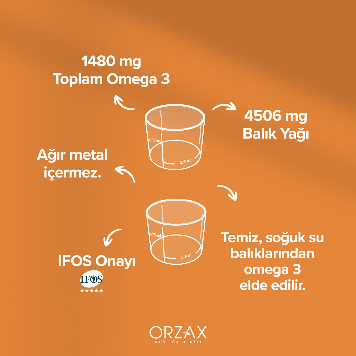Ocean Portakal Aromalı Balık Yağı 150 mL - Orzax